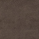 Earhart Reclining Sofa