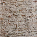 Wellbridge Vase