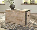 Dartland Storage Trunk