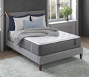 Scott Living Anniversary Medium Mattress by Restonic