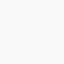 Bostwick Shoals Youth Bed