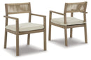 Aria Plains Arm Chair with Cushion (Set of 2)