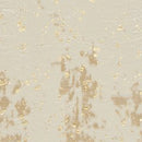 Jaxith 5' x 7' Rug